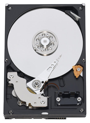 Жесткий диск Western Digital WD RE3 500 GB (WD5002ABYS) (фото modal 1)