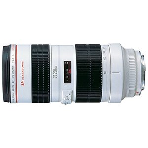 Объектив Canon EF 70-200mm f/2.8L USM (фото modal nav 1)