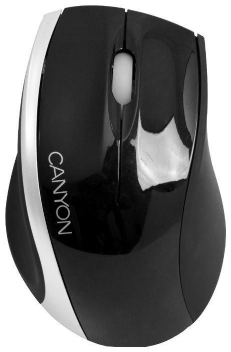 Мышь Canyon CNR-MSO01S Black-Silver USB (фото modal 1)