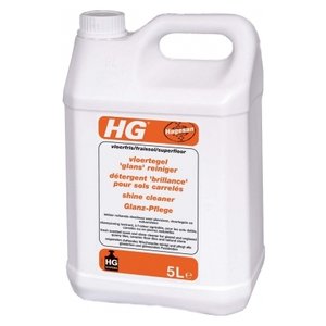 HG Моющее средство для напольной плитки (фото modal nav 3)