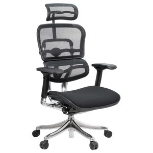 Компьютерное кресло Comfort Seating Ergohuman Plus (фото modal nav 1)