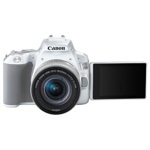 Фотоаппарат Canon EOS 250D Kit (фото modal nav 22)
