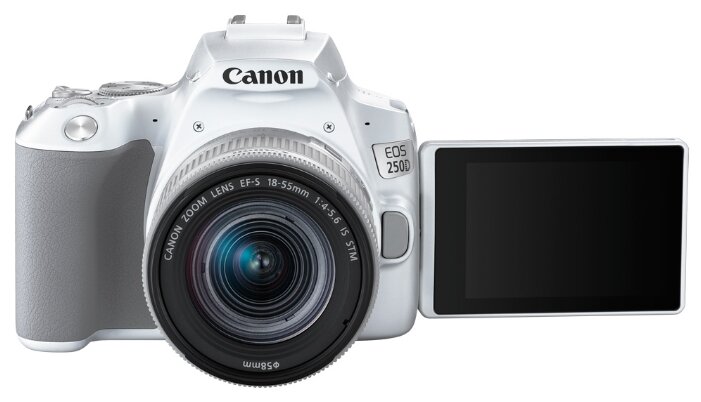 Фотоаппарат Canon EOS 250D Kit (фото modal 22)