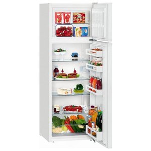 Холодильник Liebherr CTP 2921 (фото modal nav 1)