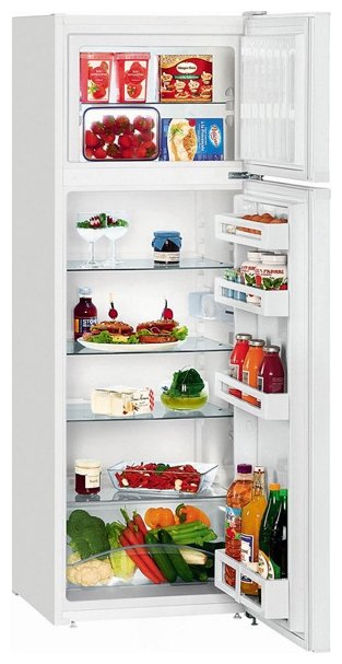 Холодильник Liebherr CTP 2921 (фото modal 1)