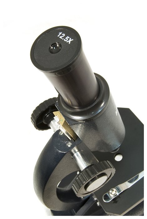 Микроскоп LEVENHUK 2S NG (фото modal 4)