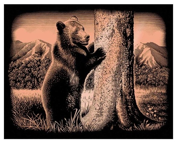 Гравюра Reeves Медведь (PPCF45) (фото modal 1)