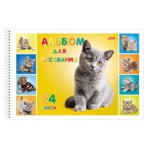 Альбом для рисования Hatber Милые котята 29.7 х 21 см (A4), 120 г/м², 24 л. (фото modal nav 5)