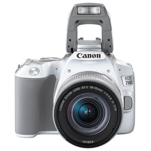 Фотоаппарат Canon EOS 250D Kit (фото modal nav 16)
