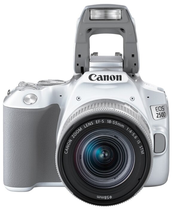 Фотоаппарат Canon EOS 250D Kit (фото modal 16)