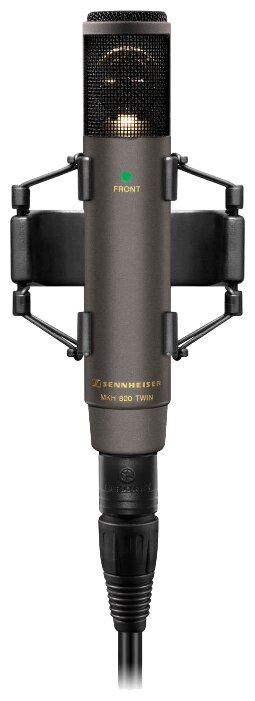 Микрофон Sennheiser MKH 800 Twin NX (фото modal 1)