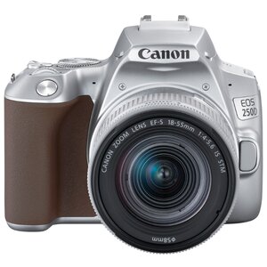 Фотоаппарат Canon EOS 250D Kit (фото modal nav 28)