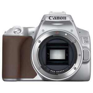 Фотоаппарат Canon EOS 250D Kit (фото modal nav 38)