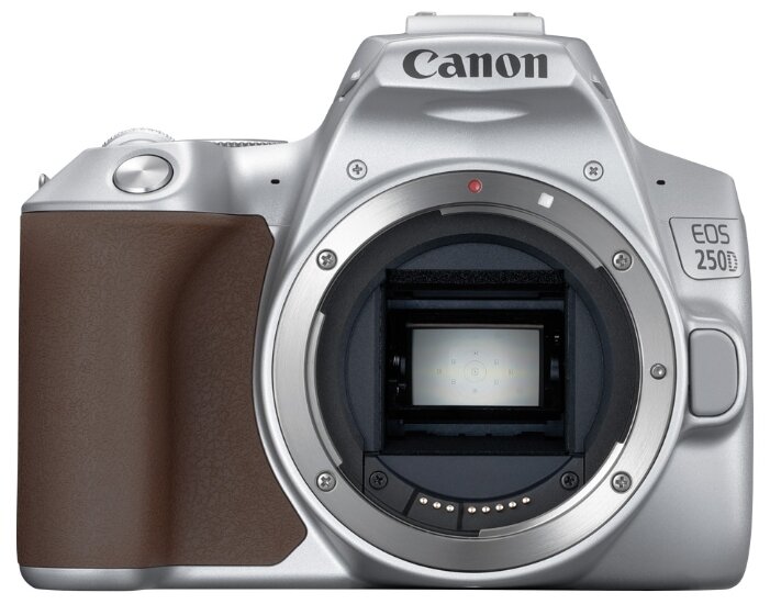 Фотоаппарат Canon EOS 250D Kit (фото modal 38)