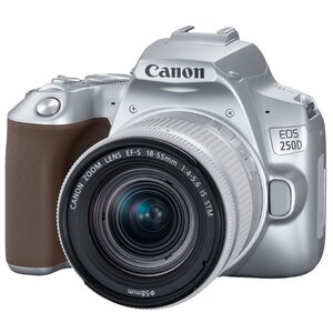 Фотоаппарат Canon EOS 250D Kit (фото modal nav 27)