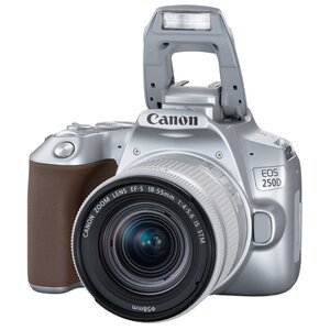 Фотоаппарат Canon EOS 250D Kit (фото modal nav 30)