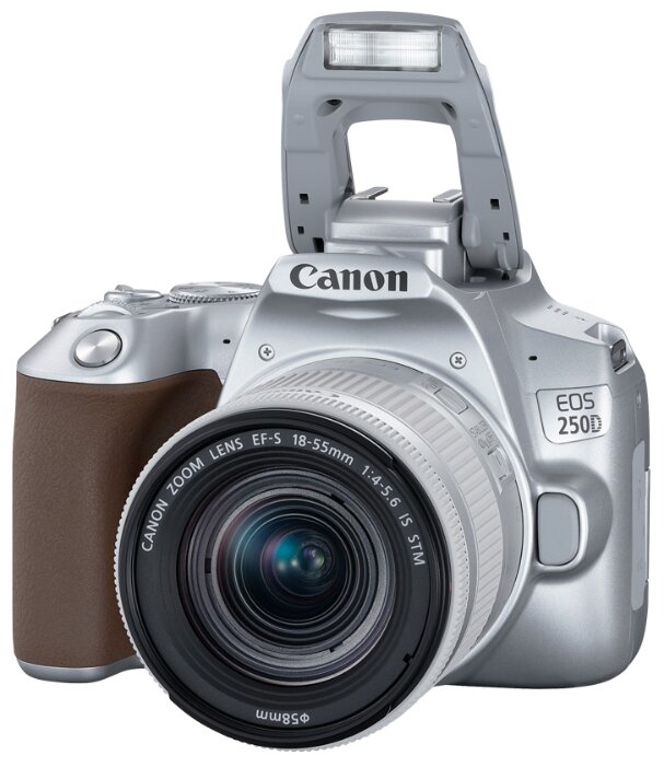 Фотоаппарат Canon EOS 250D Kit (фото modal 30)