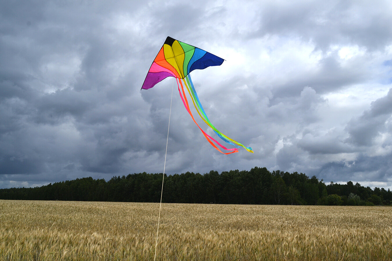 Воздушный змей Веселый ветер Сверкающая (фото modal 3)