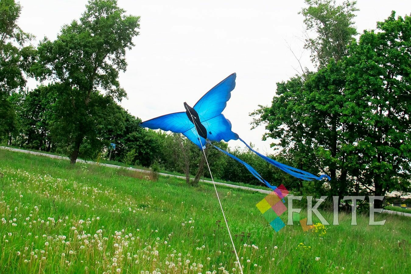 Воздушный змей Веселый ветер Махаон (фото modal 3)