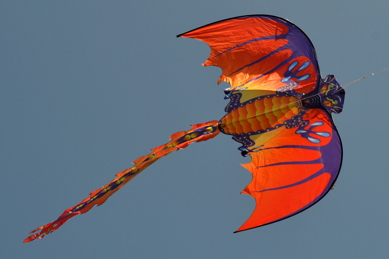 Воздушный змей Веселый ветер Огненная Виверна (фото modal 4)