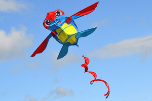 Воздушный змей Веселый ветер Летающая Черепашка (фото modal nav 3)
