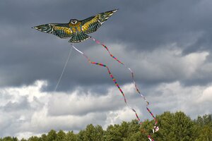 Воздушный змей Веселый ветер Золотой Чеглок (фото modal nav 3)
