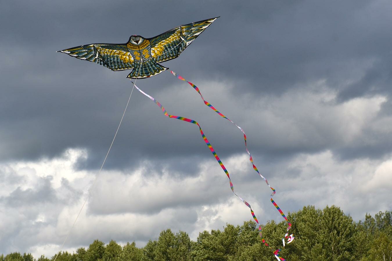 Воздушный змей Веселый ветер Золотой Чеглок (фото modal 3)