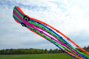 Воздушный змей Веселый ветер Осьминог (фото modal nav 4)