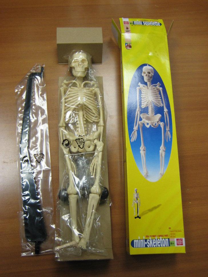 Набор для исследований Edu Toys Мини скелет (фото modal 2)