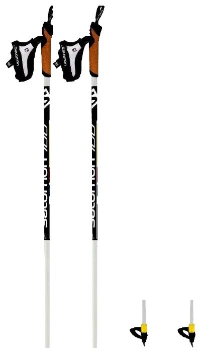 Лыжные палки Salomon Equipe 100 Carbon Kit (фото modal 1)