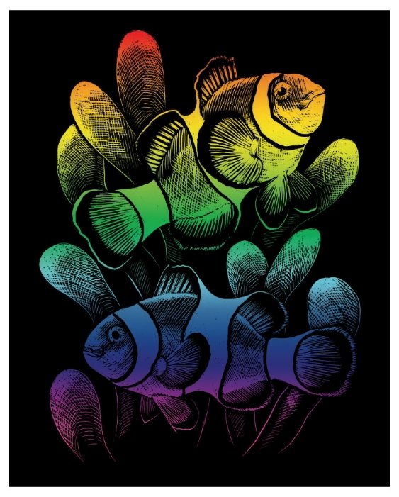 Гравюра Royal & Langnickel Рыбы-клоуны (RAIN24) цветная основа (фото modal 1)