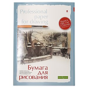Папка для рисования Альт Professional paper for drawing 29.7 х 21 см (A4), 160 г/м², 20 л. (фото modal nav 1)