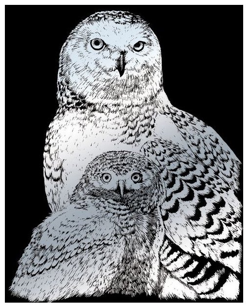 Гравюра Royal & Langnickel Полярные совы (SILF43) серебристая основа (фото modal 1)
