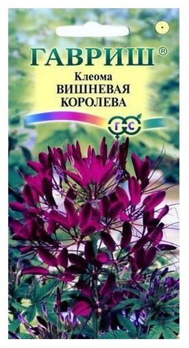 Семена Клеома Вишневая королева 0,3 г Гавриш 0.3 г (фото modal 1)