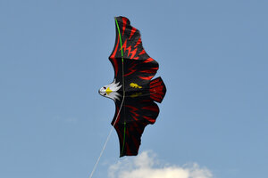 Воздушный змей Веселый ветер Имперский Орел (фото modal nav 2)
