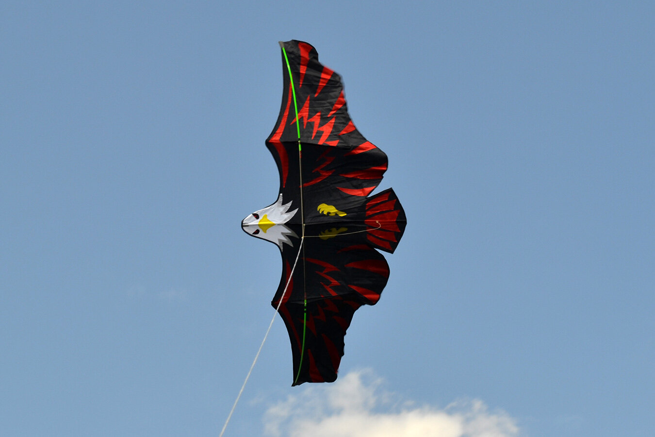 Воздушный змей Веселый ветер Имперский Орел (фото modal 2)