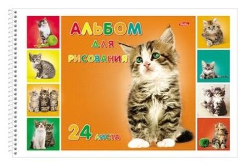 Альбом для рисования Hatber Милые котята 29.7 х 21 см (A4), 120 г/м², 24 л. (фото modal 1)