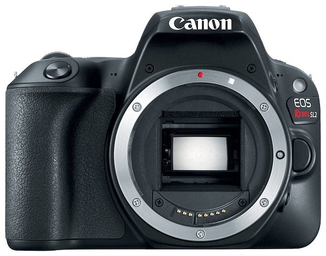 Зеркальный фотоаппарат Canon EOS 200D Body (фото modal 1)