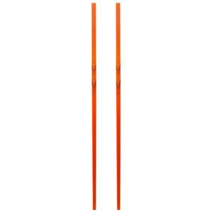 Лыжные палки Bjorn Daehlie Symbol Jnr (фото modal nav 4)