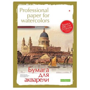 Папка для акварели Альт Professional paper for watercolors 59.4 х 42 см (A2), 200 г/м², 8 л. (фото modal nav 1)