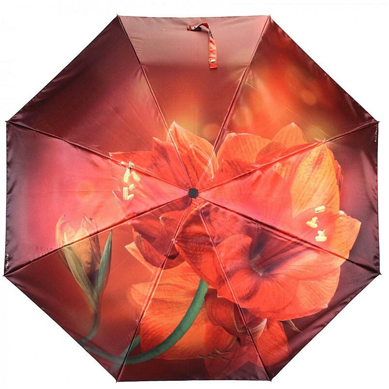 Зонт FLIORAJ (фото modal 7)