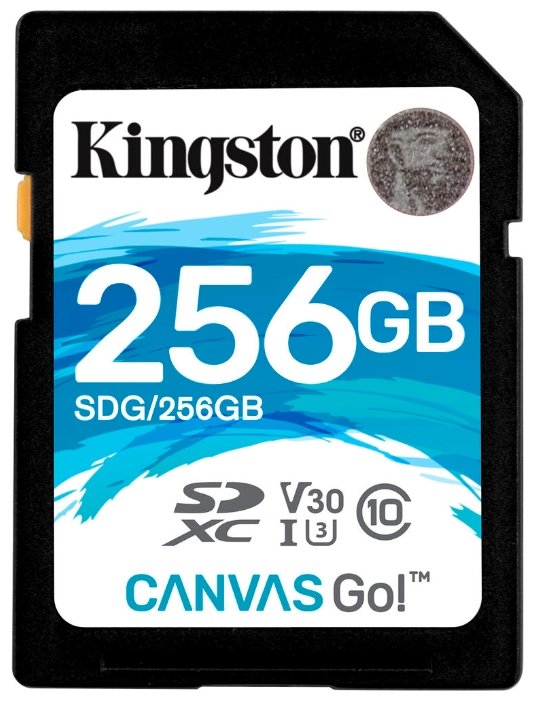 Карта памяти Kingston SDG/256GB (фото modal 1)