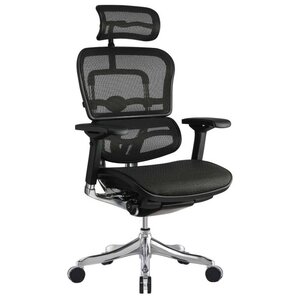Компьютерное кресло Comfort Seating Ergohuman Plus (фото modal nav 5)