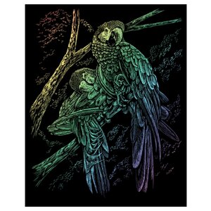 Гравюра Royal & Langnickel Тропические птицы (RAIN13) цветная основа (фото modal nav 1)