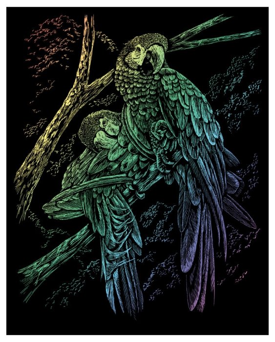 Гравюра Royal & Langnickel Тропические птицы (RAIN13) цветная основа (фото modal 1)