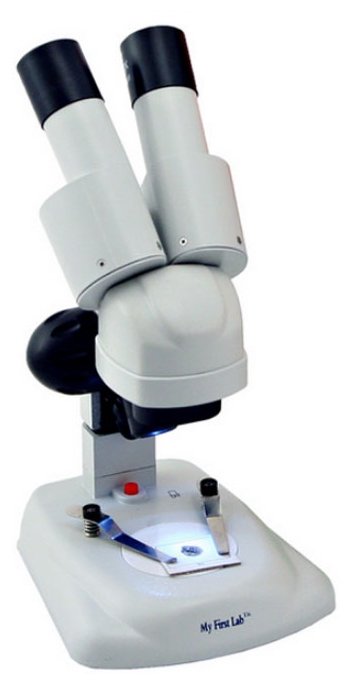 Микроскоп Научные Развлечения Микромир (фото modal 1)