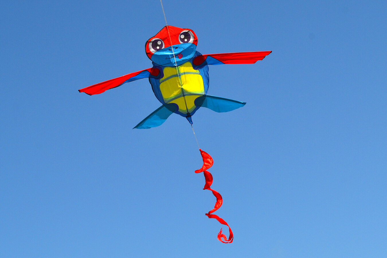 Воздушный змей Веселый ветер Летающая Черепашка (фото modal 4)
