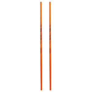 Лыжные палки Bjorn Daehlie Symbol (фото modal nav 4)