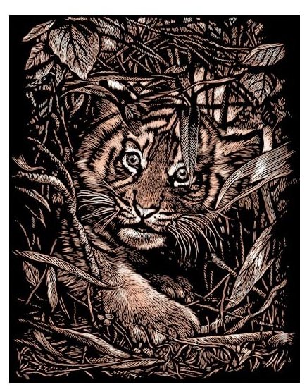 Гравюра Reeves Спрятавшийся тигр (PPCF23) (фото modal 1)