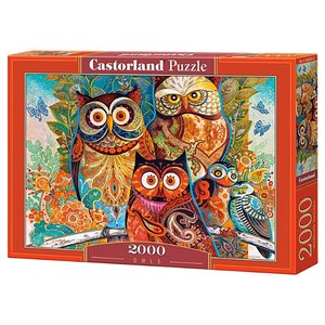 Пазл Castorland Owls (C-200535) , элементов: 2000 шт. (фото modal nav 1)